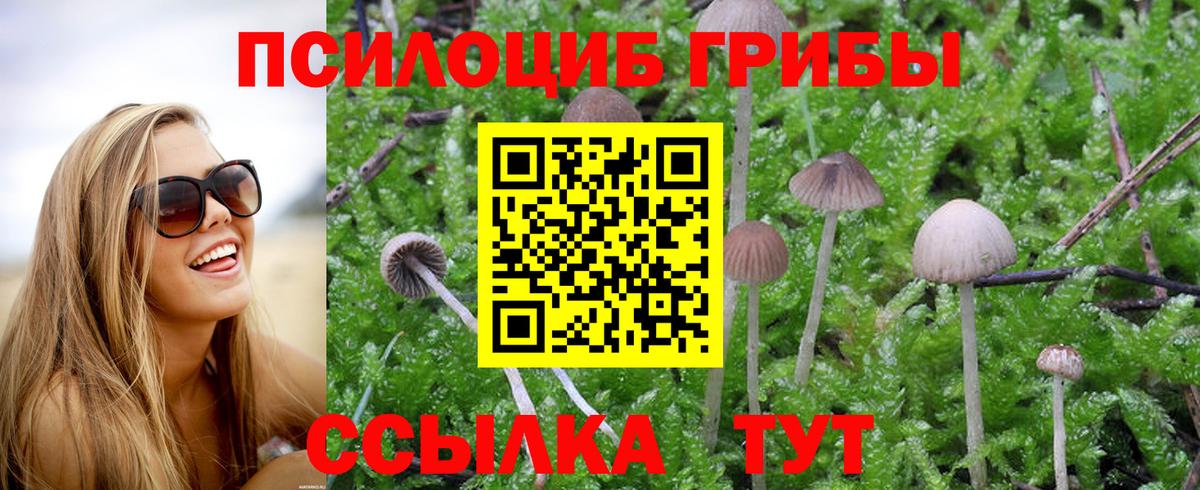 Псилоцибиновые грибы Magic Shrooms  где купить наркотик  Вход с VPN  Красный Сулин  Галлюциногенные грибы MAGIC MUSHROOMS 