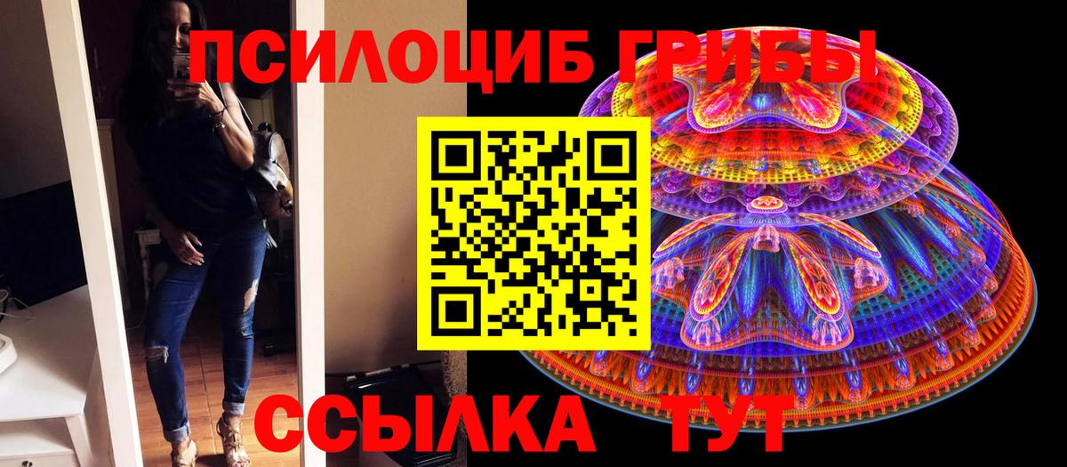 Галлюциногенные грибы Psilocybe Красный Сулин
